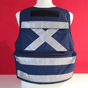 VF Survey Vest - Back View